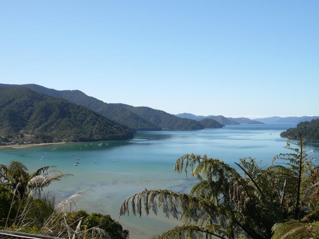 Okiwa Bay Lodge Picton Exterior photo